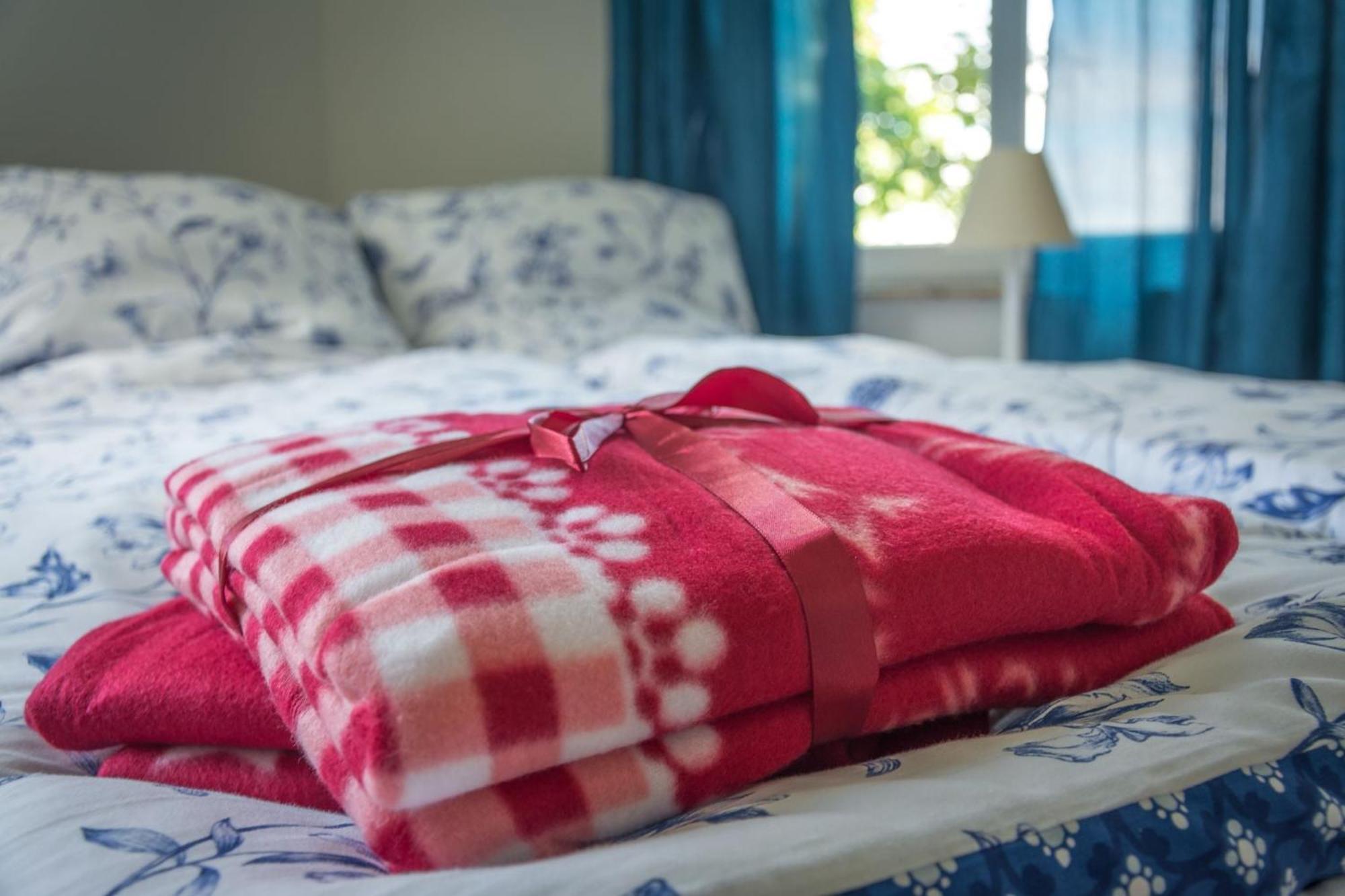 Ferienwohnung Fischersfru Flensburg Ngoại thất bức ảnh